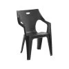 Best Sale ✨ Marquee Anthracite Kapri Resin Chair - To Australia ✨